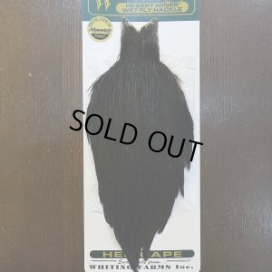 画像1: 【WHITING】Hebert Hen Cape Black No.1