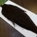 画像2: 【WHITING】Hebert Hen Cape DarkBrown Dun No.3 (2)