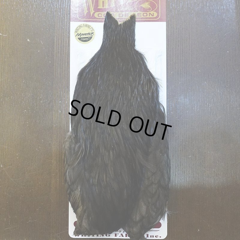 画像1: 【WHITING】Coq de Leon Hen Cape - BLACK (1)