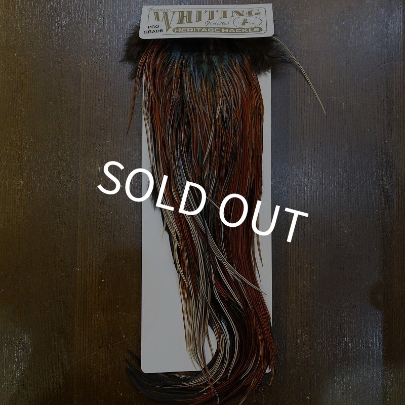 画像1: 【Whiting】HERITAGE ROOSTER SADDLE GRADE3 No.1 #16 (1)