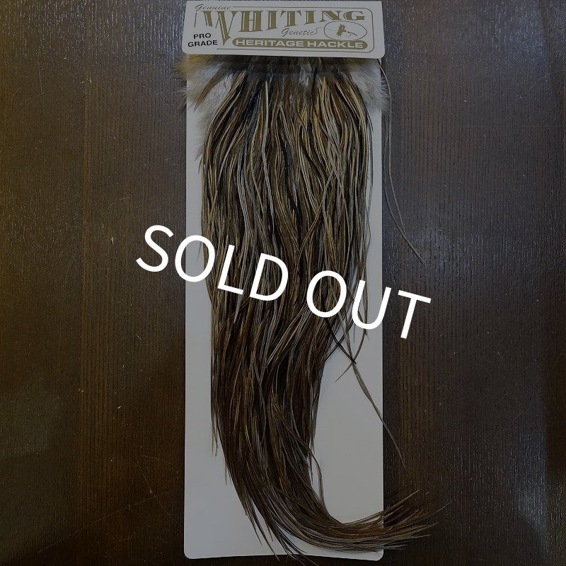 画像1: 【Whiting】HERITAGE ROOSTER SADDLE GRADE3 No.4 #16 (1)