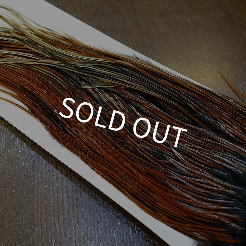 画像4: 【Whiting】HERITAGE ROOSTER SADDLE GRADE3 No.1 #16 (4)