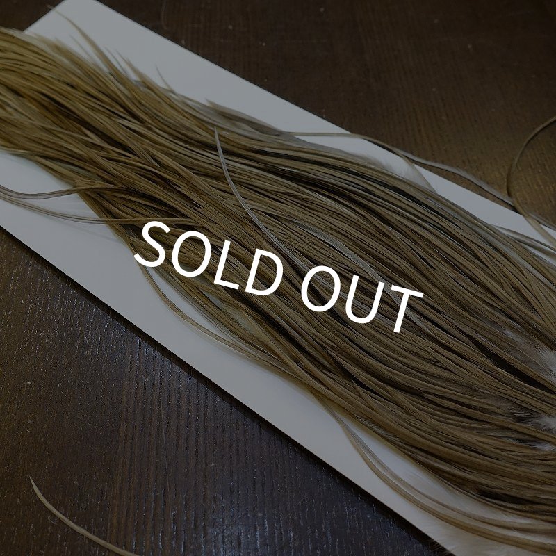 画像4: 【Whiting】HERITAGE ROOSTER SADDLE GRADE3 No.5 #16 (4)