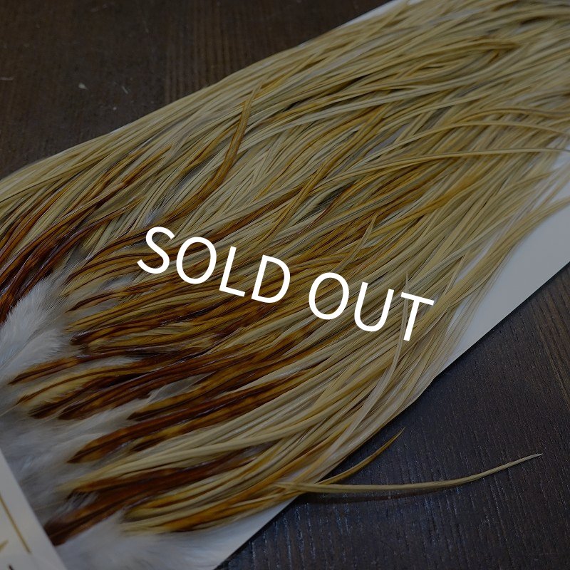 画像3: 【Whiting】HERITAGE ROOSTER SADDLE GRADE3 No.3 #16 (3)