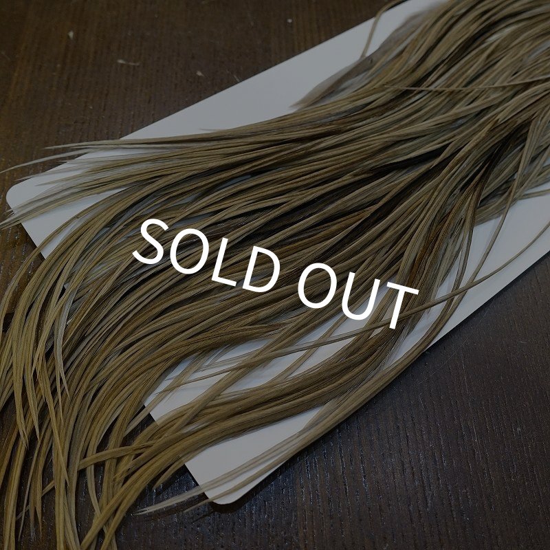 画像5: 【Whiting】HERITAGE ROOSTER SADDLE GRADE3 No.5 #16 (5)