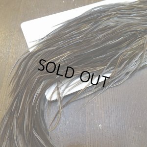 画像6: 【Whiting】HERITAGE ROOSTER SADDLE GRADE1 No.4 #16