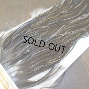 画像4: 【Whiting】HERITAGE ROOSTER SADDLE GRADE1 No.4 #16