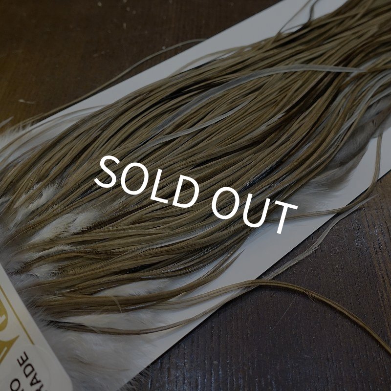 画像3: 【Whiting】HERITAGE ROOSTER SADDLE GRADE3 No.5 #16 (3)