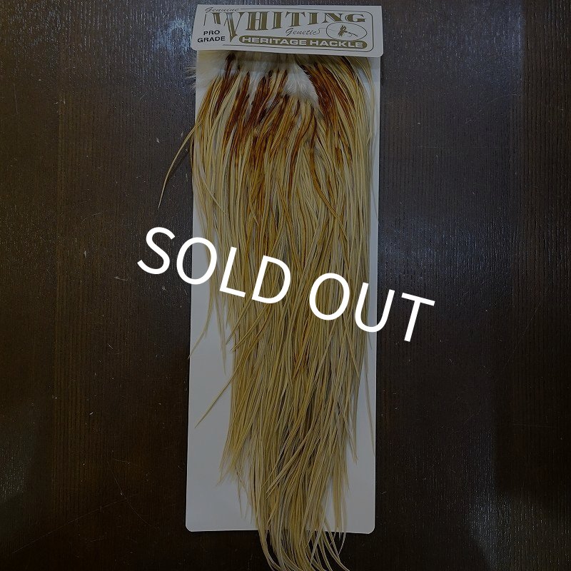 画像1: 【Whiting】HERITAGE ROOSTER SADDLE GRADE3 No.3 #16 (1)