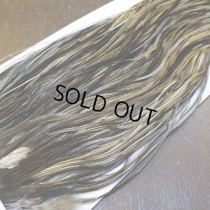 画像4: 【Whiting】HERITAGE ROOSTER SADDLE GRADE1 No.3 #16