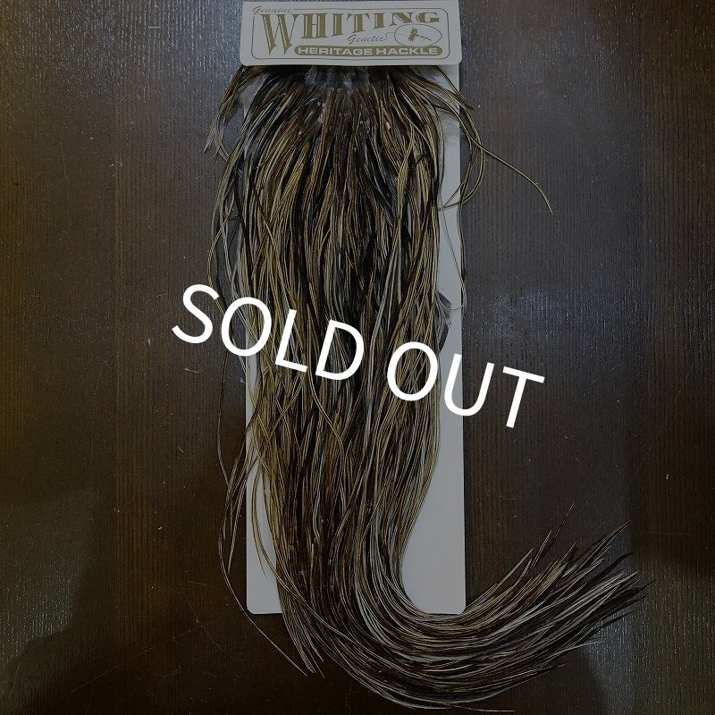 画像1: 【Whiting】HERITAGE ROOSTER SADDLE GRADE1 No.2 #16 (1)