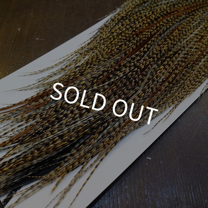 画像5: 【Whiting】HERITAGE ROOSTER SADDLE GRADE3 No.2 #16 (5)