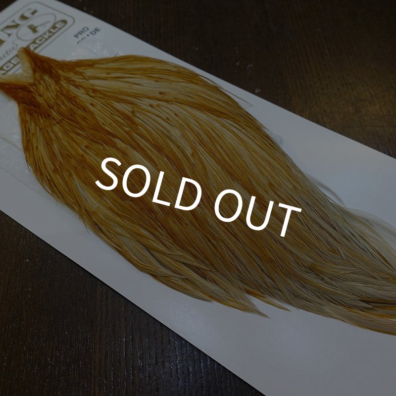 画像2: 【Whiting】HERITAGE ROOSTER CAPE PRO GRADE No.3 (2)