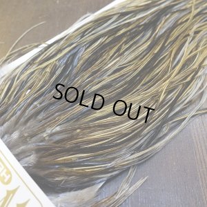 画像4: 【Whiting】HERITAGE ROOSTER SADDLE GRADE1 No.2 #16