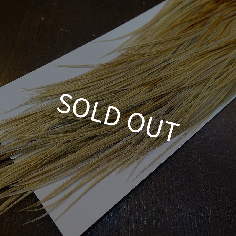 画像5: 【Whiting】HERITAGE ROOSTER SADDLE GRADE3 No.3 #16 (5)