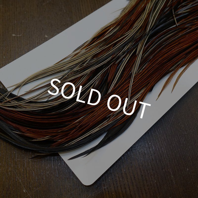 画像5: 【Whiting】HERITAGE ROOSTER SADDLE GRADE3 No.1 #16 (5)