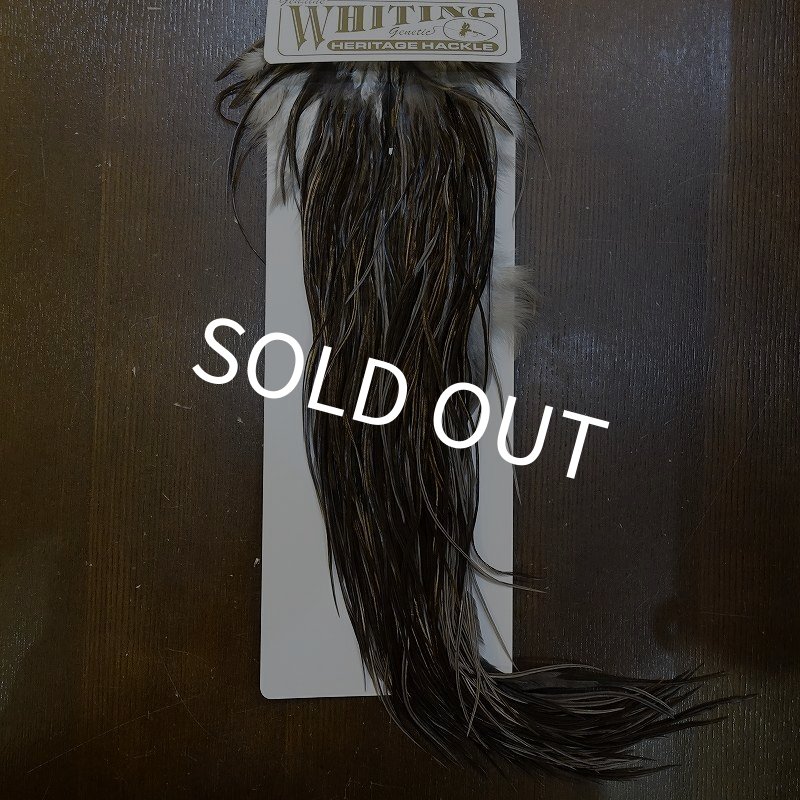 画像1: 【Whiting】HERITAGE ROOSTER SADDLE GRADE1 No.4 #16 (1)