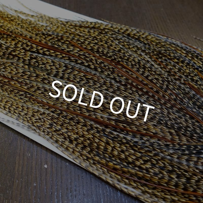 画像4: 【Whiting】HERITAGE ROOSTER SADDLE GRADE3 No.2 #16 (4)