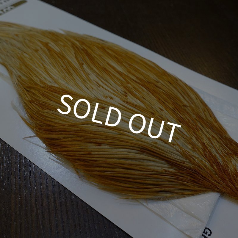 画像4: 【Whiting】HERITAGE ROOSTER CAPE PRO GRADE No.3 (4)