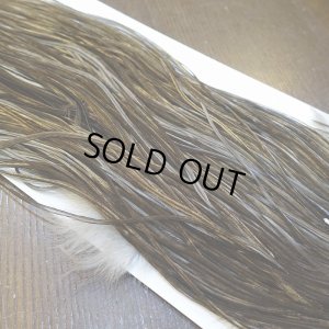 画像5: 【Whiting】HERITAGE ROOSTER SADDLE GRADE1 No.4 #16