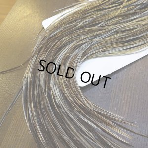 画像6: 【Whiting】HERITAGE ROOSTER SADDLE GRADE1 No.2 #16