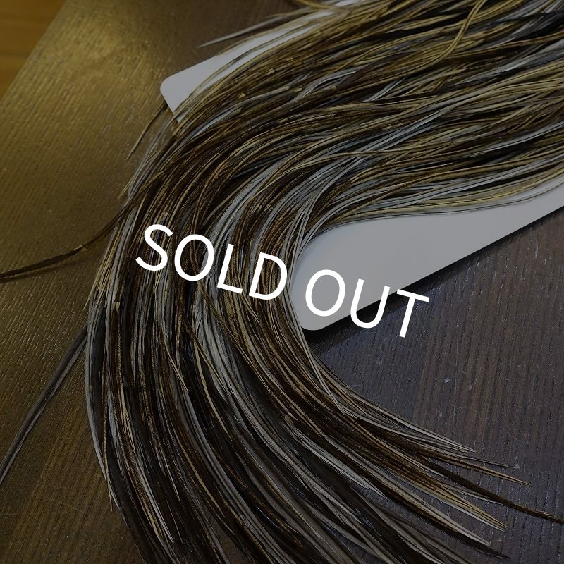 画像6: 【Whiting】HERITAGE ROOSTER SADDLE GRADE1 No.2 #16 (6)