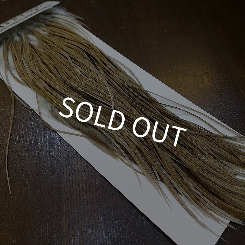 画像2: 【Whiting】HERITAGE ROOSTER SADDLE GRADE3 No.5 #16 (2)