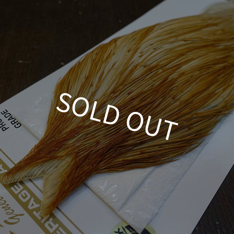 画像3: 【Whiting】HERITAGE ROOSTER CAPE PRO GRADE No.3 (3)