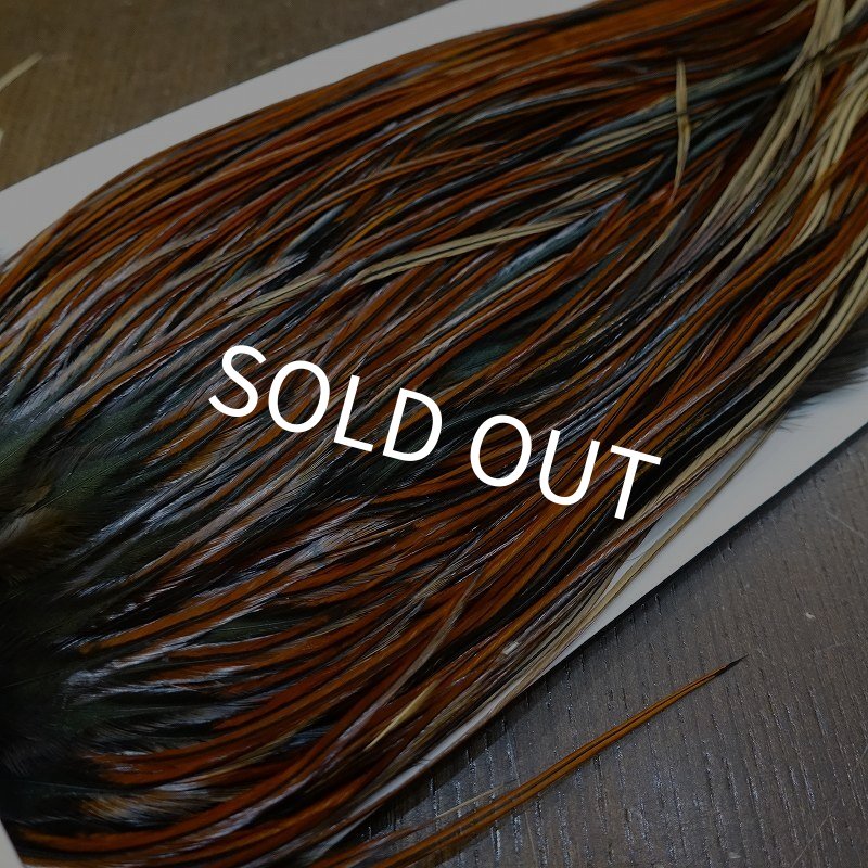 画像3: 【Whiting】HERITAGE ROOSTER SADDLE GRADE3 No.1 #16 (3)