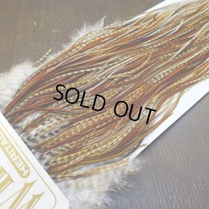 画像4: 【Whiting】HERITAGE ROOSTER SADDLE GRADE1 No.1 #16