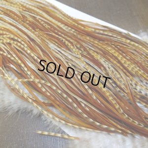 画像5: 【Whiting】HERITAGE ROOSTER SADDLE GRADE1 No.1 #16