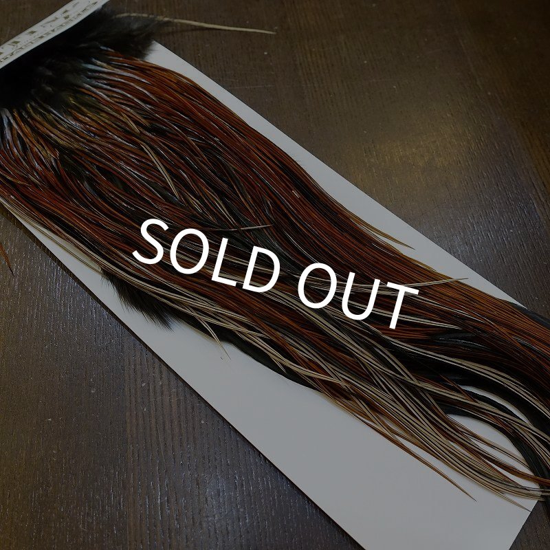 画像2: 【Whiting】HERITAGE ROOSTER SADDLE GRADE3 No.1 #16 (2)