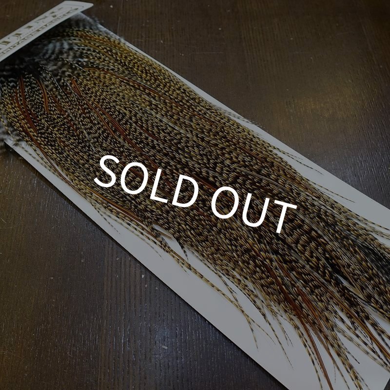 画像2: 【Whiting】HERITAGE ROOSTER SADDLE GRADE3 No.2 #16 (2)