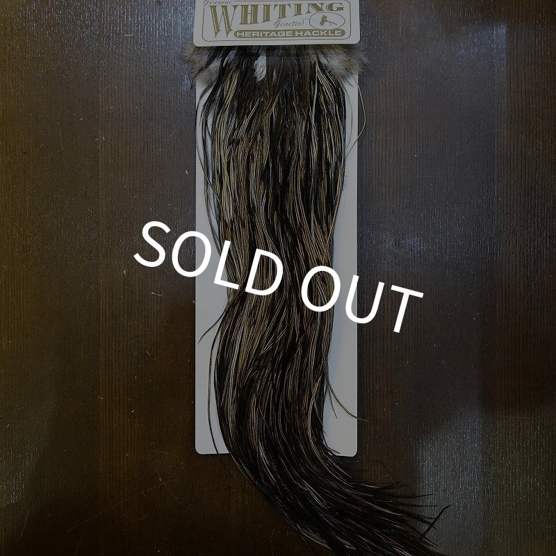 画像1: 【Whiting】HERITAGE ROOSTER SADDLE GRADE1 No.3 #16 (1)