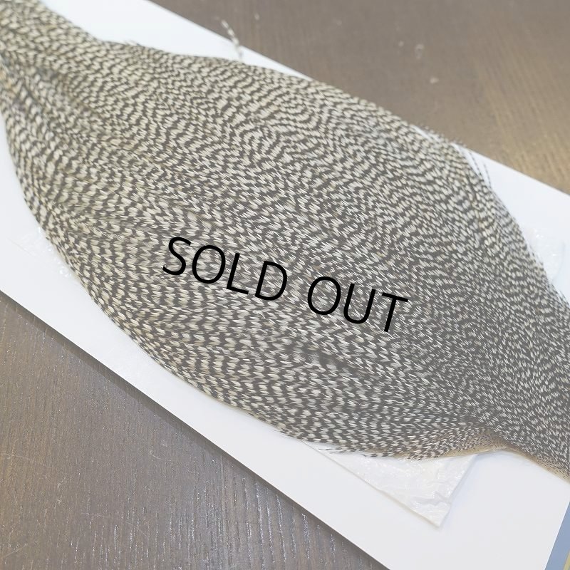 画像4: 【WHITING】High & Dry ROOSTER Cape - Grizzly No.2 (4)