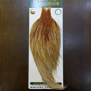 画像1: 【WHITING】Hebert ROOSTER CAPE Silver grade - Barred Medium Ginger No.2