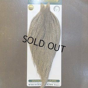 画像1: 【WHITING】Hebert ROOSTER CAPE Silver grade - DUN GRIZZLY No.1