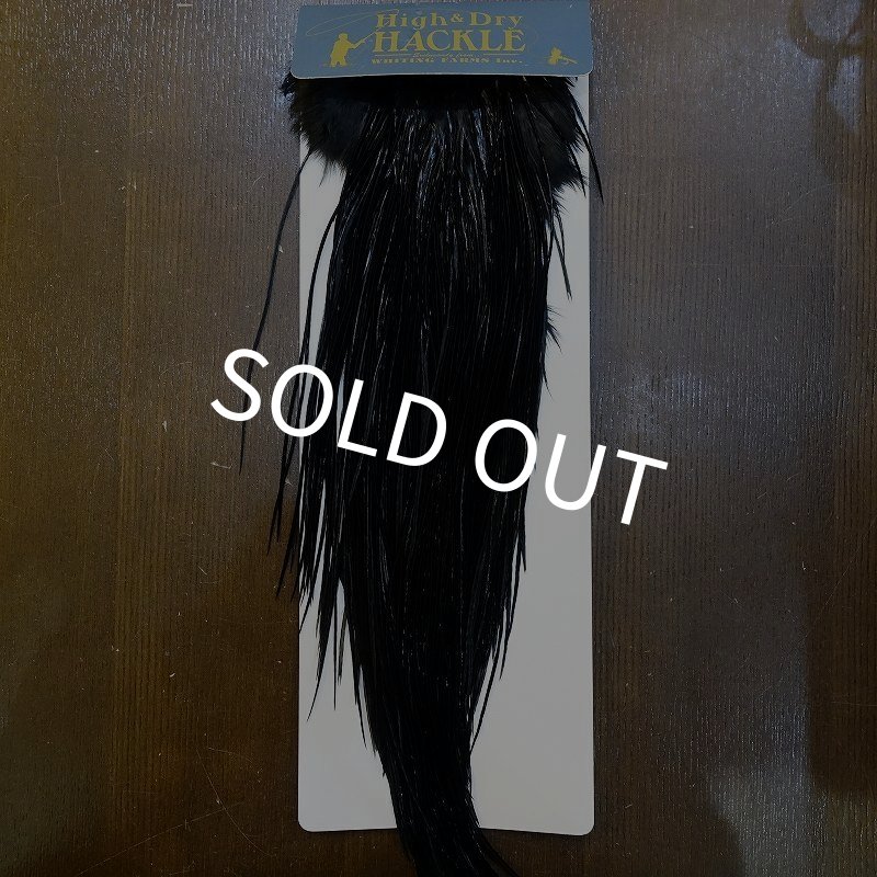 画像1: 【WHITING】High & Dry ROOSTER SADDLE - BLACK No.2 #16 (1)