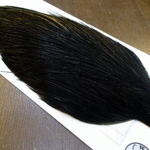 画像4: 【WHITING】Hebert ROOSTER CAPE Silver grade - DYED BLACK No.1