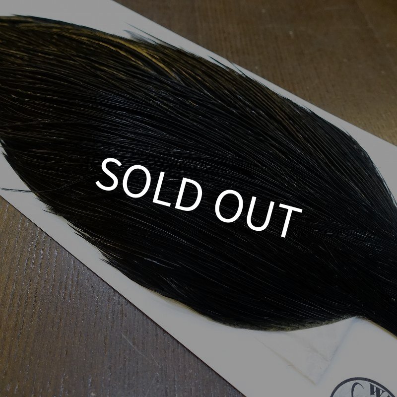 画像4: 【WHITING】Hebert ROOSTER CAPE Silver grade - DYED BLACK No.2 (4)