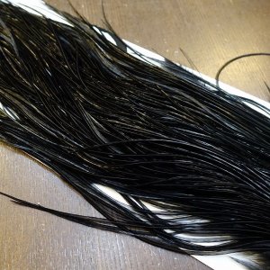 画像4: 【WHITING】High & Dry ROOSTER SADDLE - BLACK No.1 #16