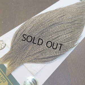 画像3: 【WHITING】Hebert ROOSTER CAPE Silver grade - DUN GRIZZLY No.1