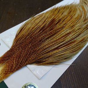 画像3: 【WHITING】Hebert ROOSTER CAPE Silver grade - Barred Medium Ginger No.2