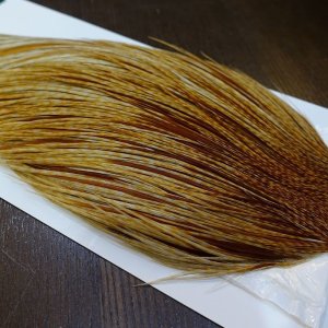 画像4: 【WHITING】Hebert ROOSTER CAPE Silver grade - Barred Medium Ginger No.2