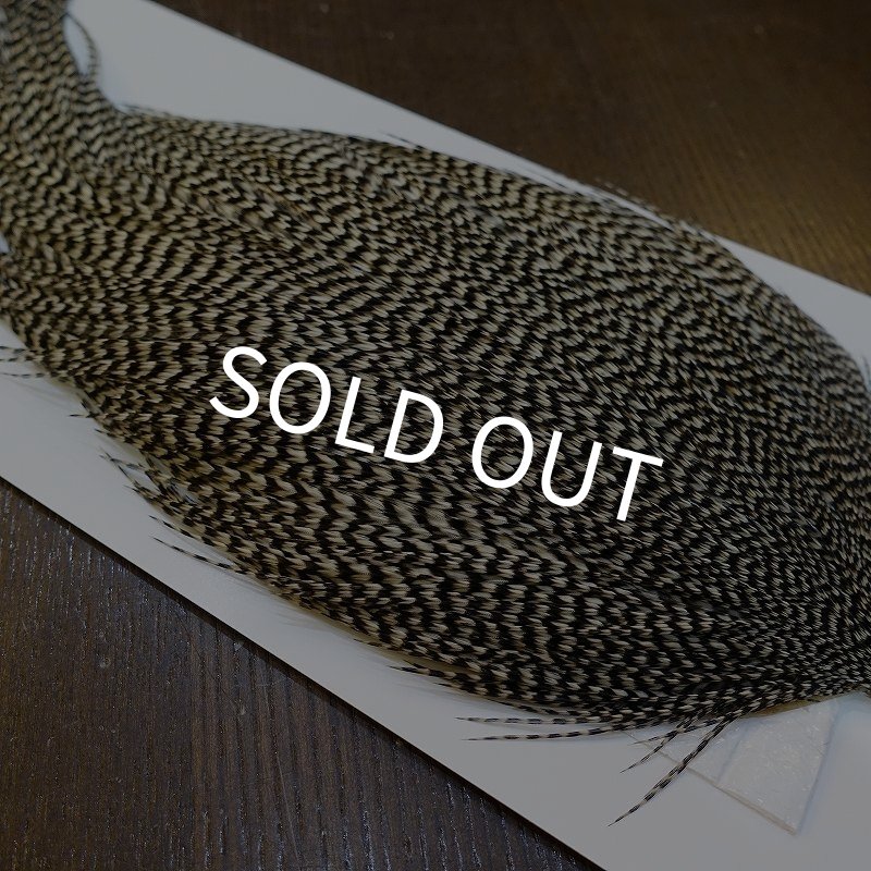 画像4: 【WHITING】High & Dry ROOSTER Cape - Grizzly No.3 (4)