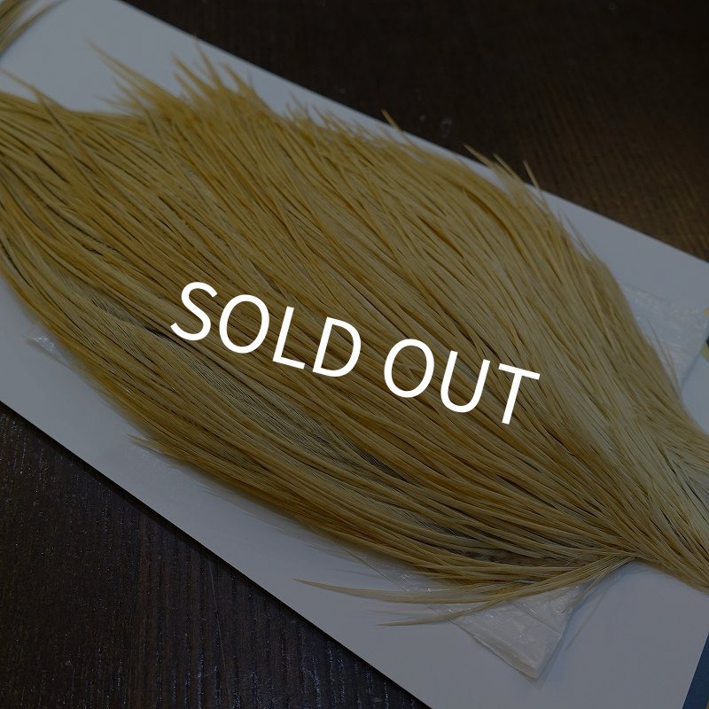 画像4: 【WHITING】High & Dry ROOSTER Cape - LIGHT GINGER No.1 (4)