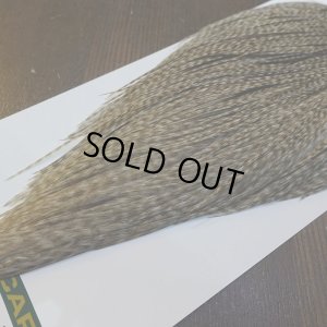 画像5: 【WHITING】Hebert ROOSTER CAPE Silver grade - DUN GRIZZLY No.1