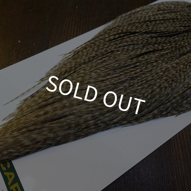 画像5: 【WHITING】Hebert ROOSTER CAPE Silver grade - DUN GRIZZLY No.1 (5)