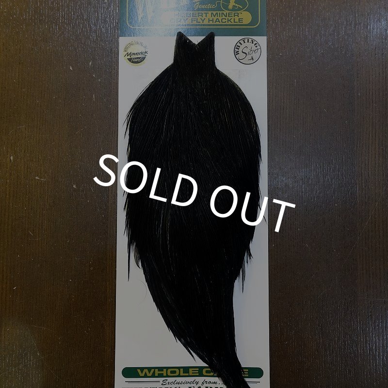 画像1: 【WHITING】Hebert ROOSTER CAPE Silver grade - DYED BLACK No.2 (1)