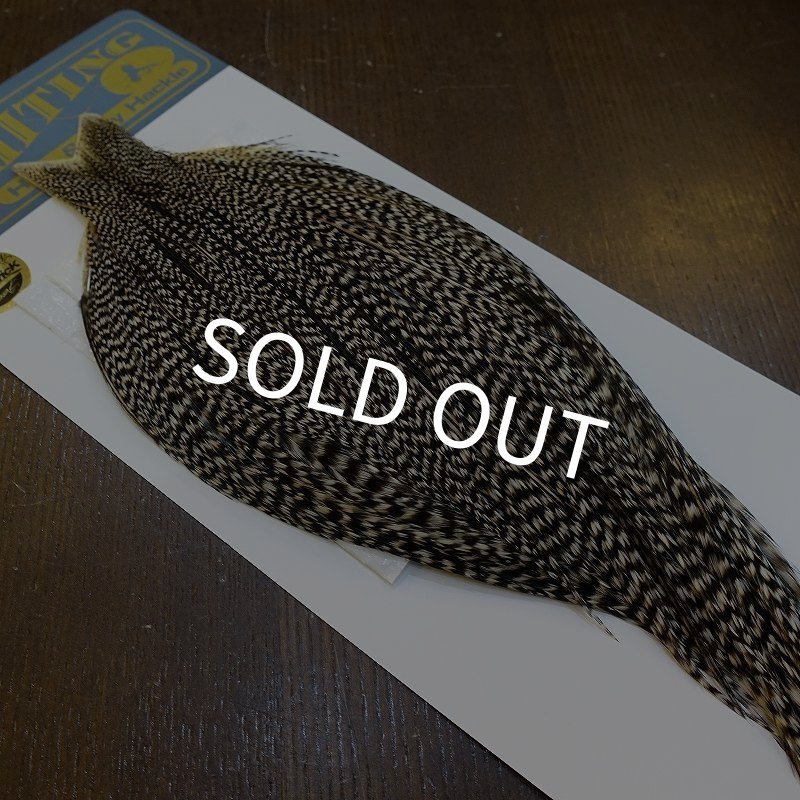 画像2: 【WHITING】High & Dry ROOSTER Cape - Grizzly Variant No.2 (2)